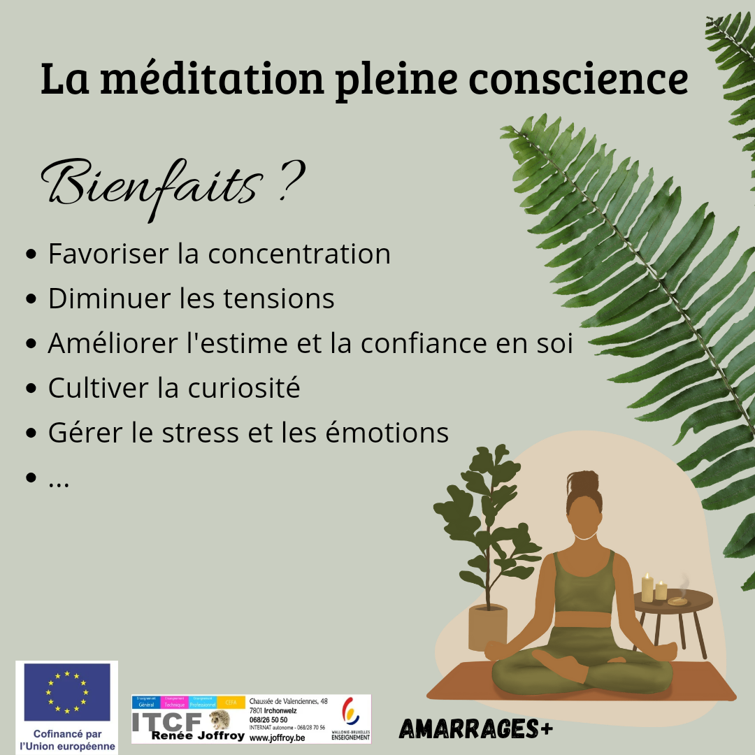 médiation pleine conscience